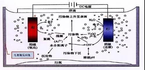 我買(mǎi)了一個(gè)甲醛檢測(cè)儀，吹口氣后發(fā)現(xiàn)原來(lái)我才是“地表最強(qiáng)”污染源！