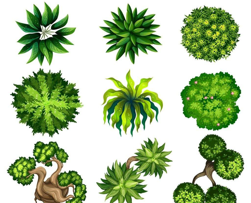 可以凈化室內空氣的植物，這二十種您需要好好了解一下！